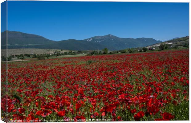 Capestrano Poppies, The Abruzzo, Italy Canvas Print by Creative Photography Wales