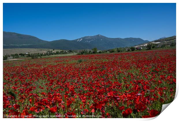Capestrano Poppies, The Abruzzo, Italy Print by Creative Photography Wales
