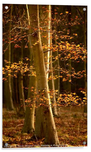 Sunlit leaves Acrylic by Simon Johnson