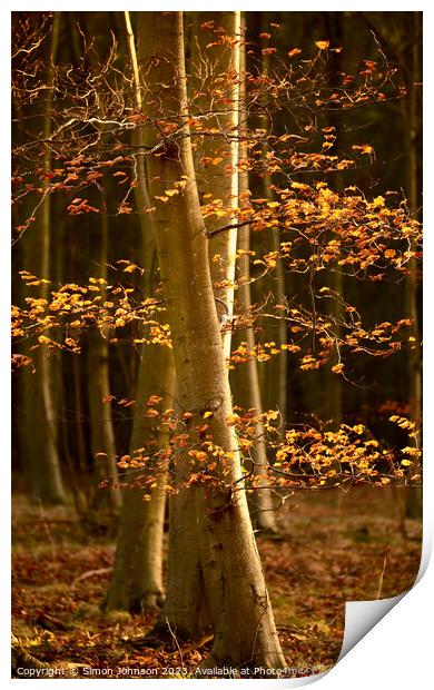 Sunlit leaves Print by Simon Johnson