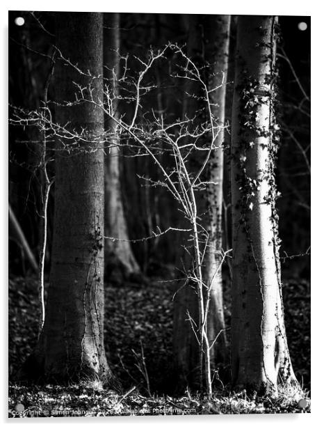woodland light  Acrylic by Simon Johnson