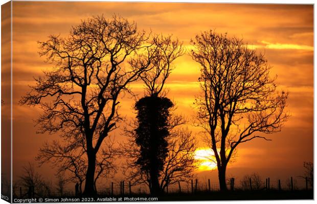 Tree silhouettes at sunrise Canvas Print by Simon Johnson