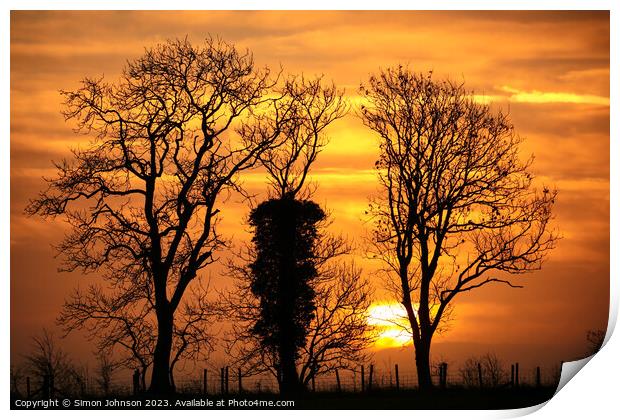 Tree silhouettes at sunrise Print by Simon Johnson