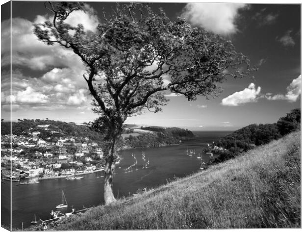 River Dart Estuary & Kingswear Canvas Print by Darren Galpin