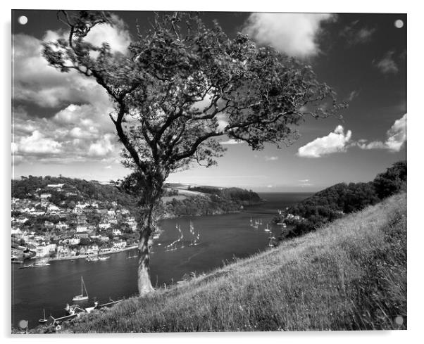 River Dart Estuary & Kingswear Acrylic by Darren Galpin