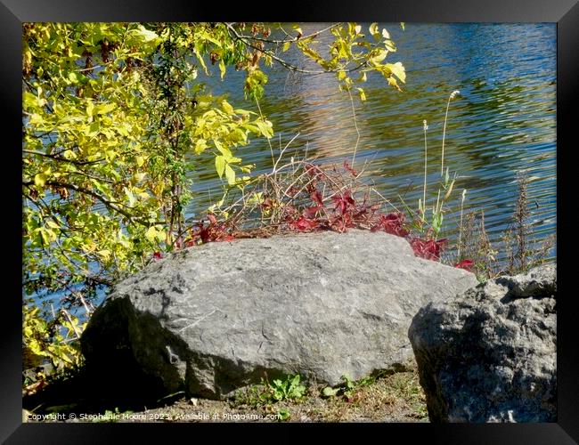 Rocks on the banks of the river Framed Print by Stephanie Moore