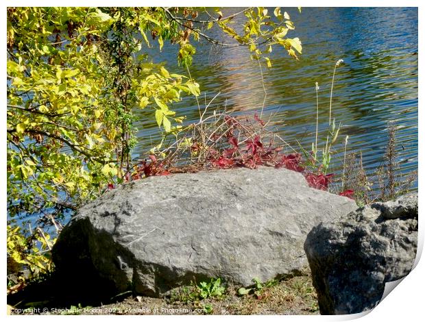 Rocks on the banks of the river Print by Stephanie Moore