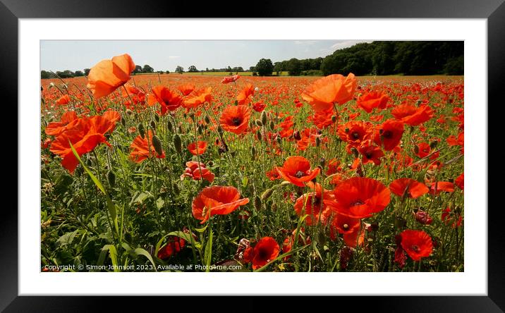 Cotswold poppies  Framed Mounted Print by Simon Johnson
