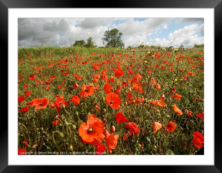 Cotswold poppies  Framed Mounted Print by Simon Johnson