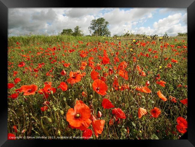 Cotswold poppies  Framed Print by Simon Johnson