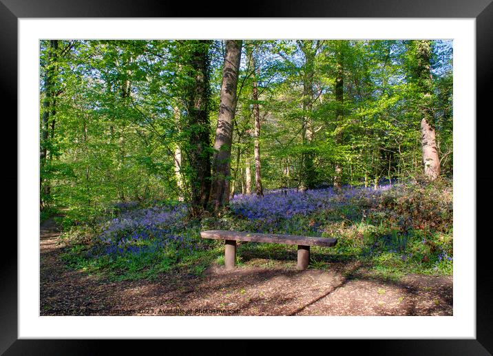 Yorkshire Bluebells Framed Mounted Print by Alison Chambers