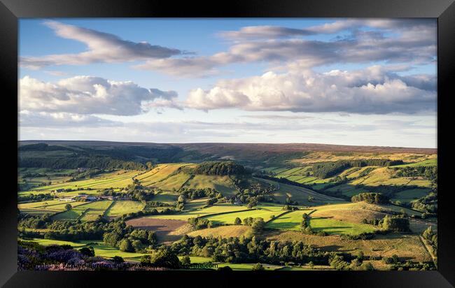 Evening Light On Rosedale Framed Print by Richard Burdon