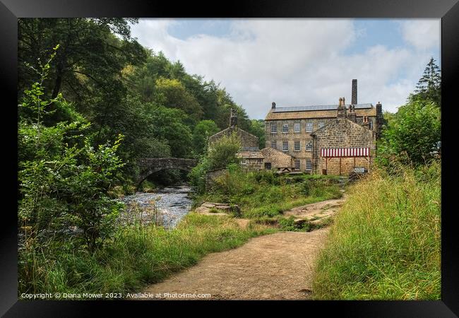 Hebden Beck Walk Framed Print by Diana Mower