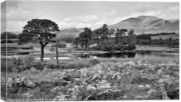 Loch Tulla in early light Canvas Print by Chris Drabble