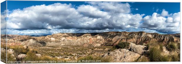 Gorafe Desert Panorama Canvas Print by DiFigiano Photography