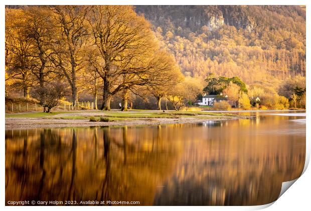 Autumn tree reflections Print by Gary Holpin