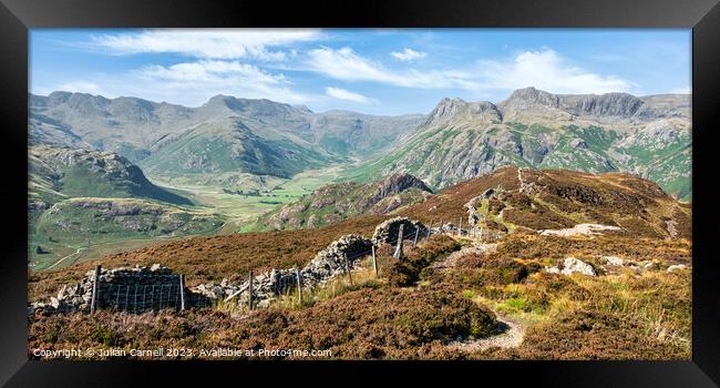 lake District Lingmoor fell stone wall leading to Langdale Pikes Framed Print by Julian Carnell