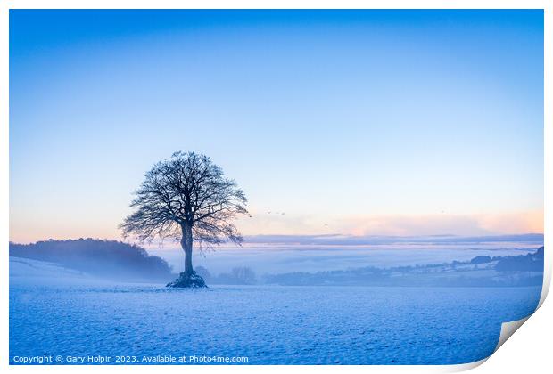 Winter tree Print by Gary Holpin