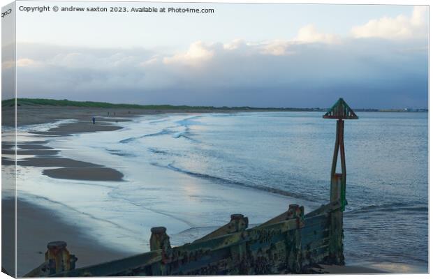 Seaton sands Canvas Print by andrew saxton