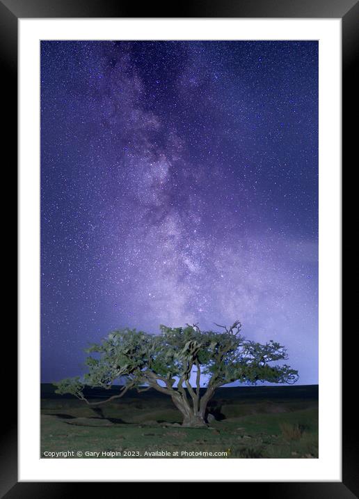Milky Way and a Dartmoor tree Framed Mounted Print by Gary Holpin