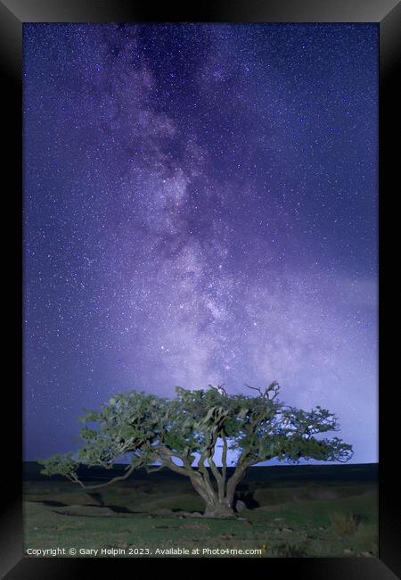 Milky Way and a Dartmoor tree Framed Print by Gary Holpin