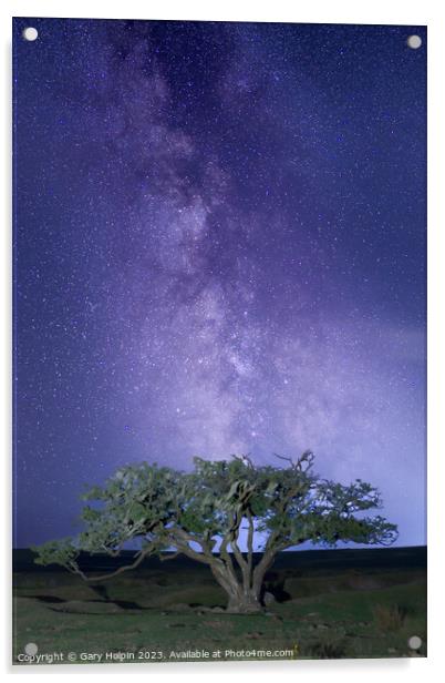 Milky Way and a Dartmoor tree Acrylic by Gary Holpin