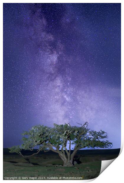 Milky Way and a Dartmoor tree Print by Gary Holpin