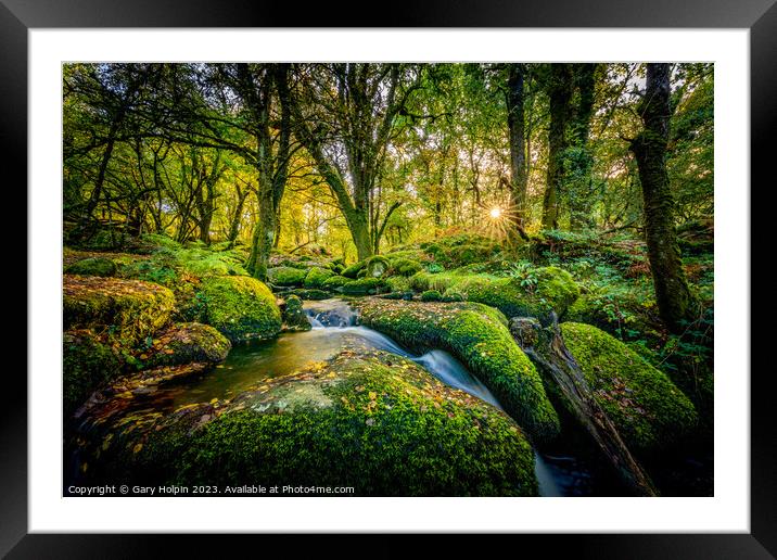 Autumn on the Becka Brook Framed Mounted Print by Gary Holpin