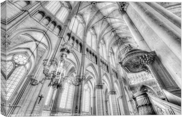 Reims Notre Dame Cathedral Infrared Canvas Print by David Pyatt