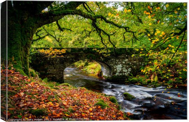 Autumn at Norsworthy Bridge Canvas Print by Gary Holpin