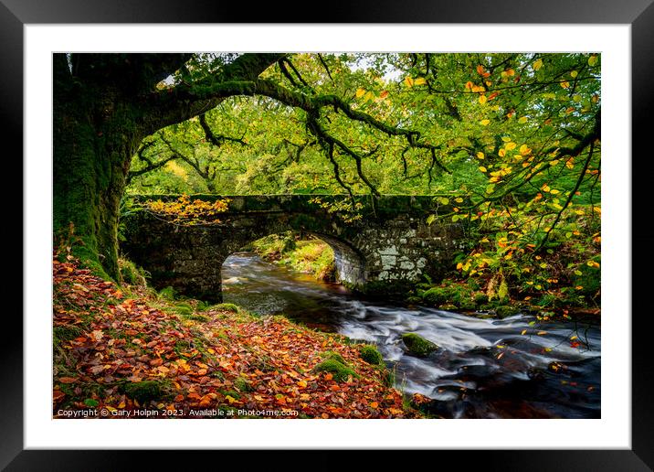 Autumn at Norsworthy Bridge Framed Mounted Print by Gary Holpin