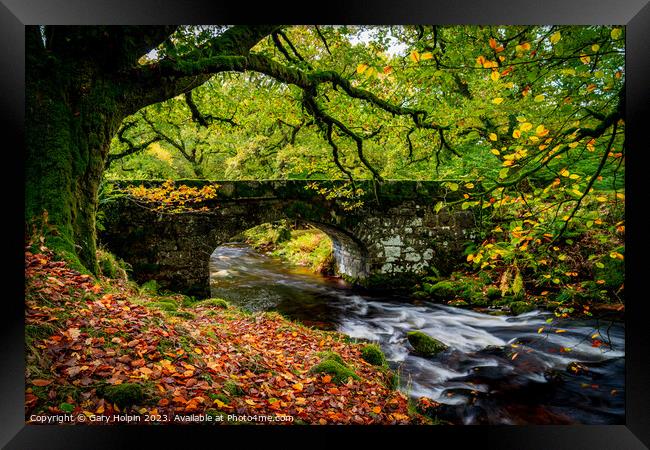 Autumn at Norsworthy Bridge Framed Print by Gary Holpin