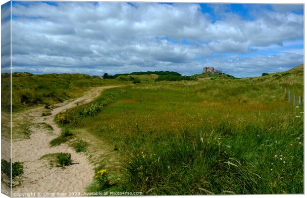 Bamburgh Castle glimpsed in the distance from the  Canvas Print by Chris Rose