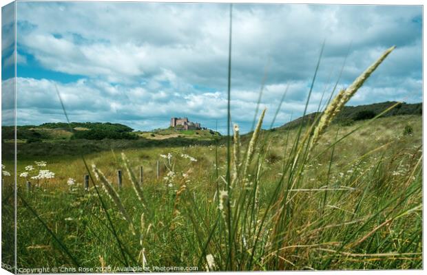 Bamburgh Castle glimpsed in the distance Canvas Print by Chris Rose