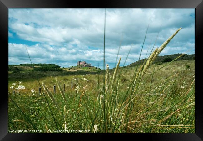 Bamburgh Castle glimpsed in the distance Framed Print by Chris Rose