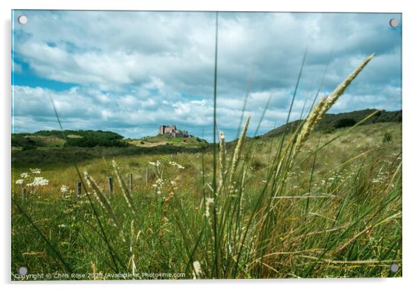 Bamburgh Castle glimpsed in the distance Acrylic by Chris Rose