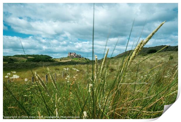 Bamburgh Castle glimpsed in the distance Print by Chris Rose