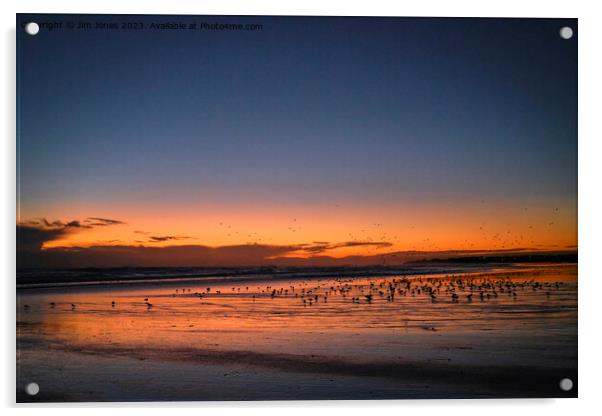 Silhouetted Seagulls on the Sand before Sunrise Acrylic by Jim Jones