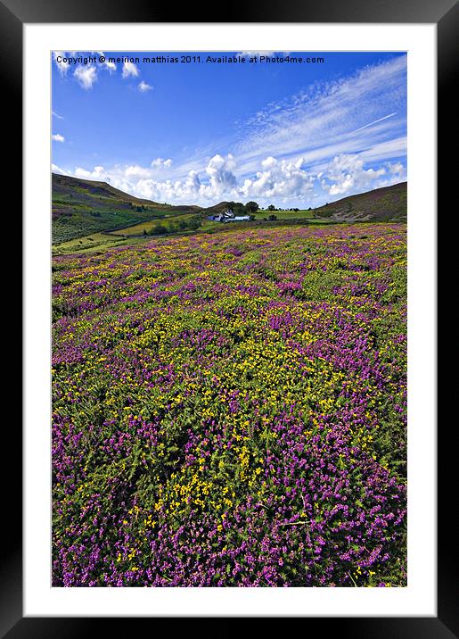 spectacular Sychnant colour Framed Mounted Print by meirion matthias