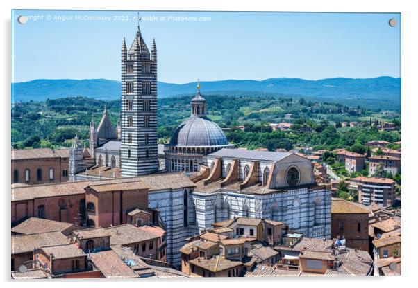 Aerial view of Duomo and Campanile, Siena, Tuscany Acrylic by Angus McComiskey