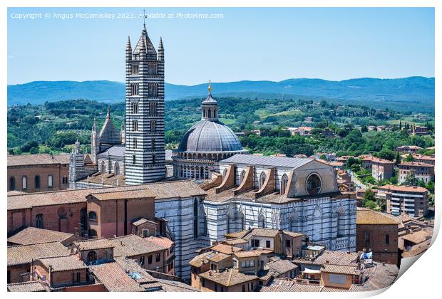 Aerial view of Duomo and Campanile, Siena, Tuscany Print by Angus McComiskey