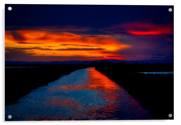 Majestic Sunset over the Camargue Marshes Acrylic by Helkoryo Photography