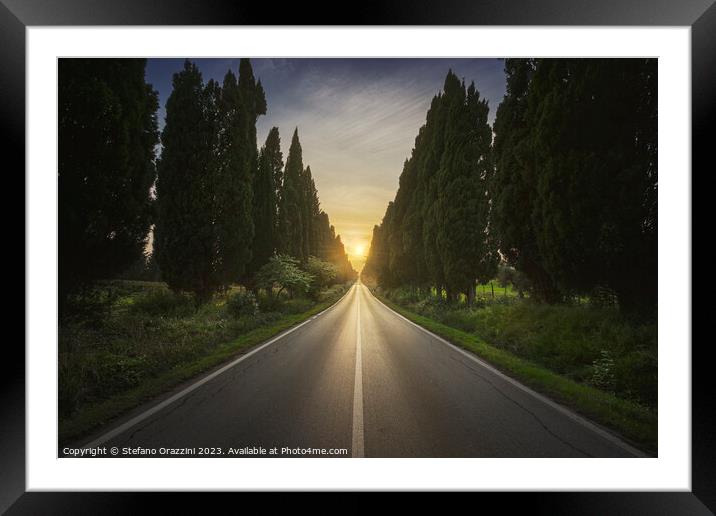 The cypress tree-lined avenue of Bolgheri Framed Mounted Print by Stefano Orazzini