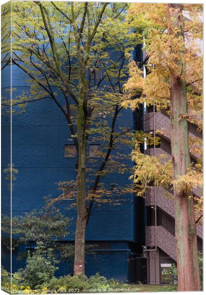 building and tree Canvas Print by Sanga Park