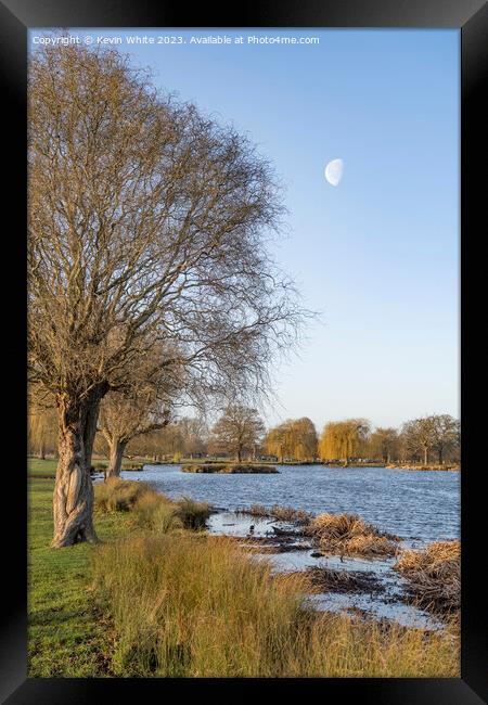 Half moon over Heron pond Bushy Park Framed Print by Kevin White