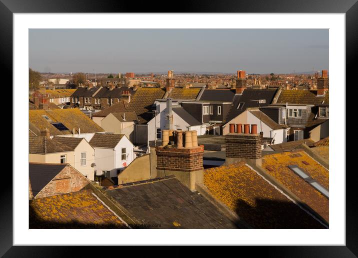 Rooftops Framed Mounted Print by Sally Wallis