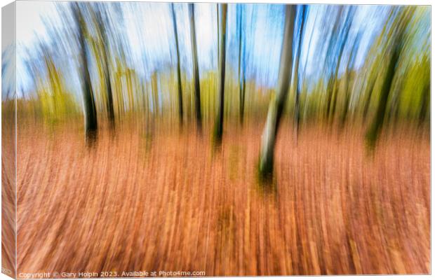 Impressions of an autumn woodland Canvas Print by Gary Holpin
