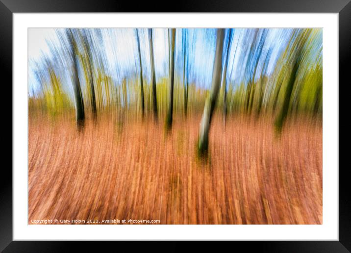 Impressions of an autumn woodland Framed Mounted Print by Gary Holpin