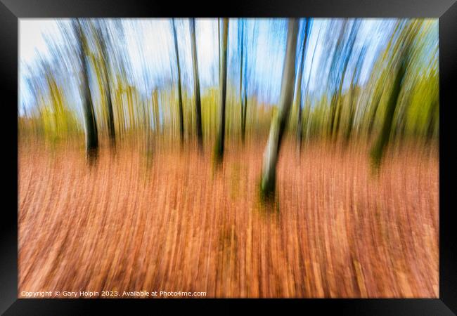 Impressions of an autumn woodland Framed Print by Gary Holpin