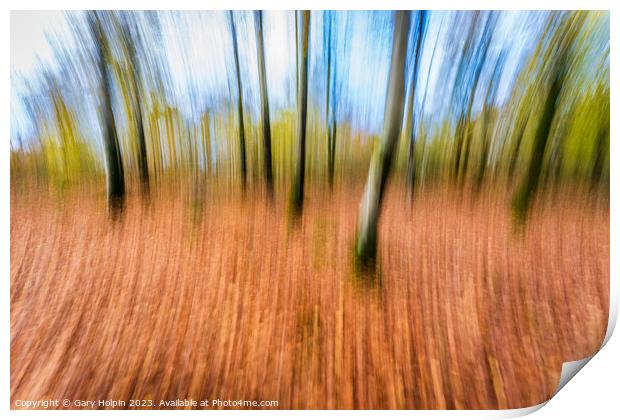 Impressions of an autumn woodland Print by Gary Holpin